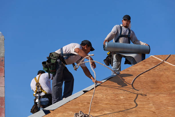 Best Shingle Roofing Installation  in Wildewood, MD